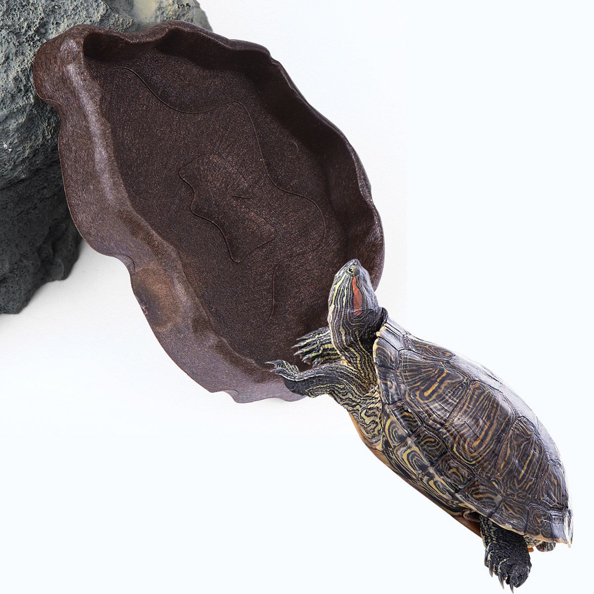 Reptile Resin Food Dish Coffee - đánh giá và giá Water Dish Reptile