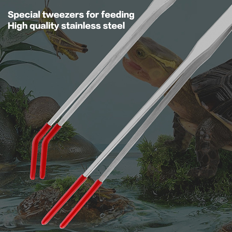 Expert Aquarium Tools: Stainle - đánh giá và giá Feeding Tong Stainless