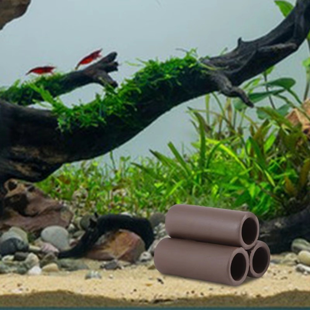 Playing Breeding Spawning Aqua - đánh giá và giá Hide Cave Ceramic