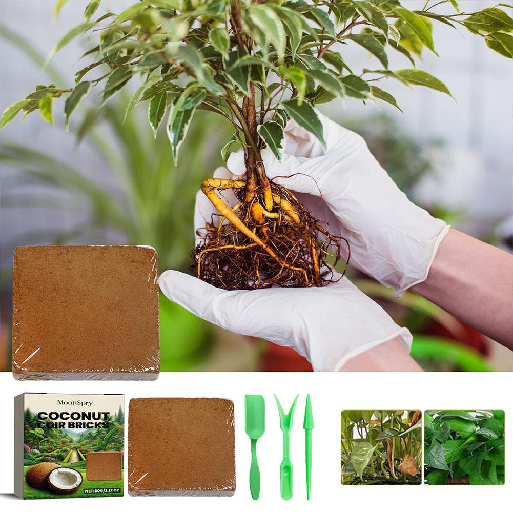 Reptile Coconut Soil Coir Pres - đánh giá và giá Substrate Coconut Fiber