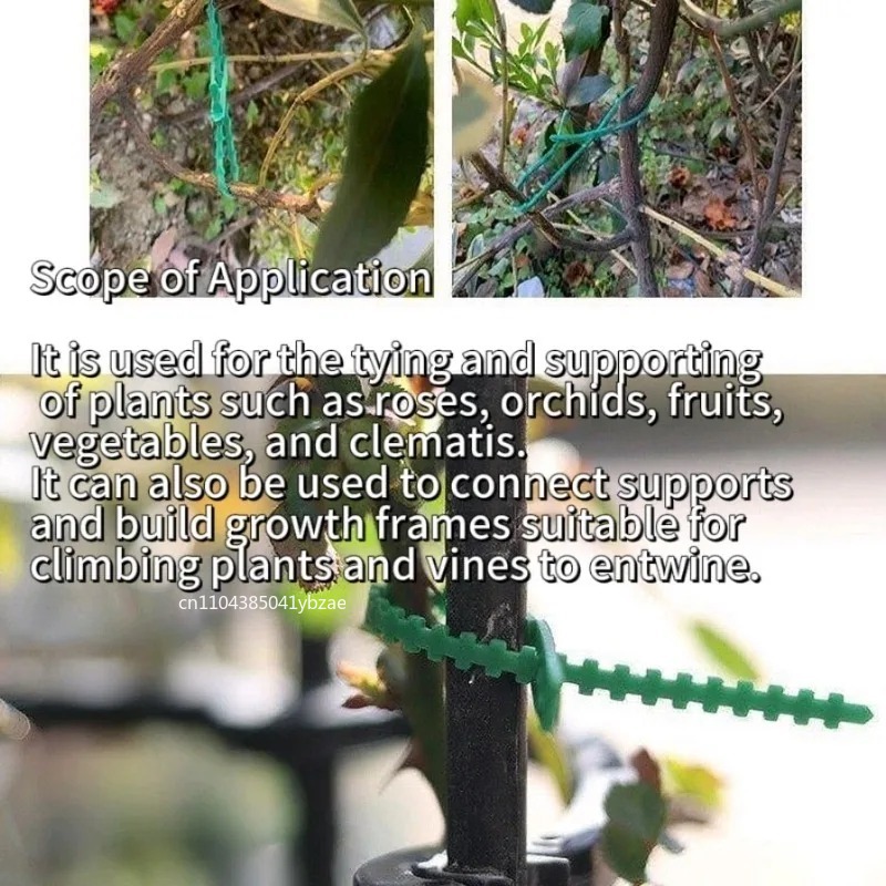 50-1000pcs Adjustable Plastic  - đánh giá và giá Vine Climbing Plastic