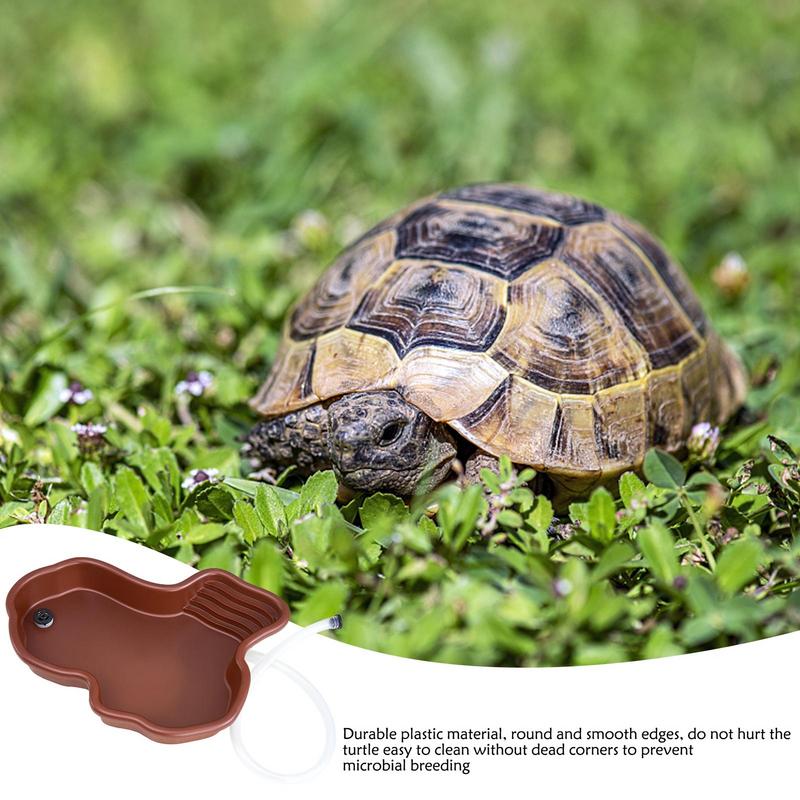 Turtle Feeding Dish Reptile Ba - đánh giá và giá Water Dish Reptile