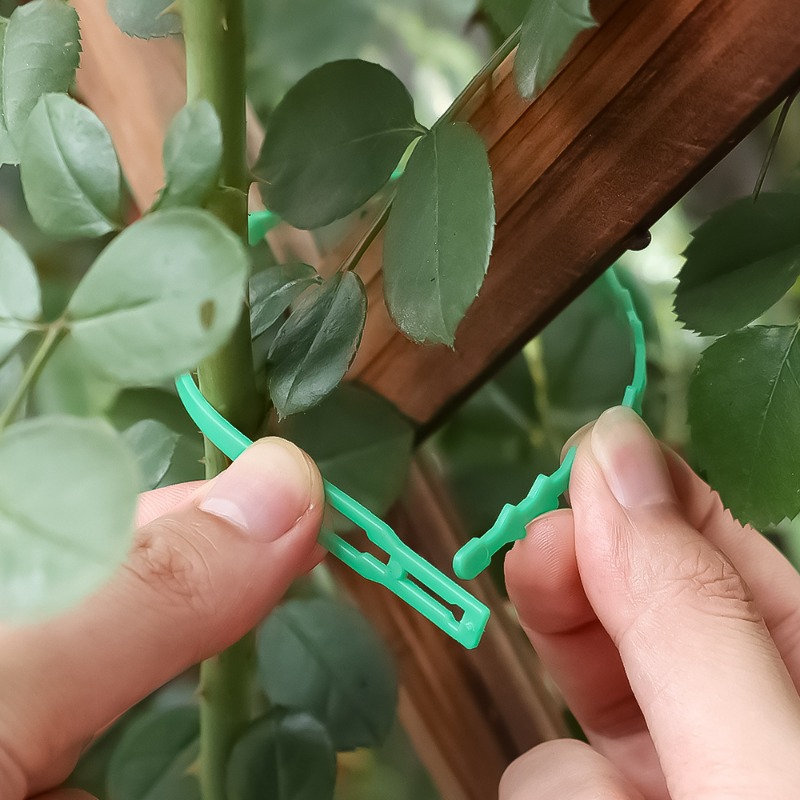 Wholesale Reusable Plant Fixed - đánh giá và giá Vine Climbing Plastic