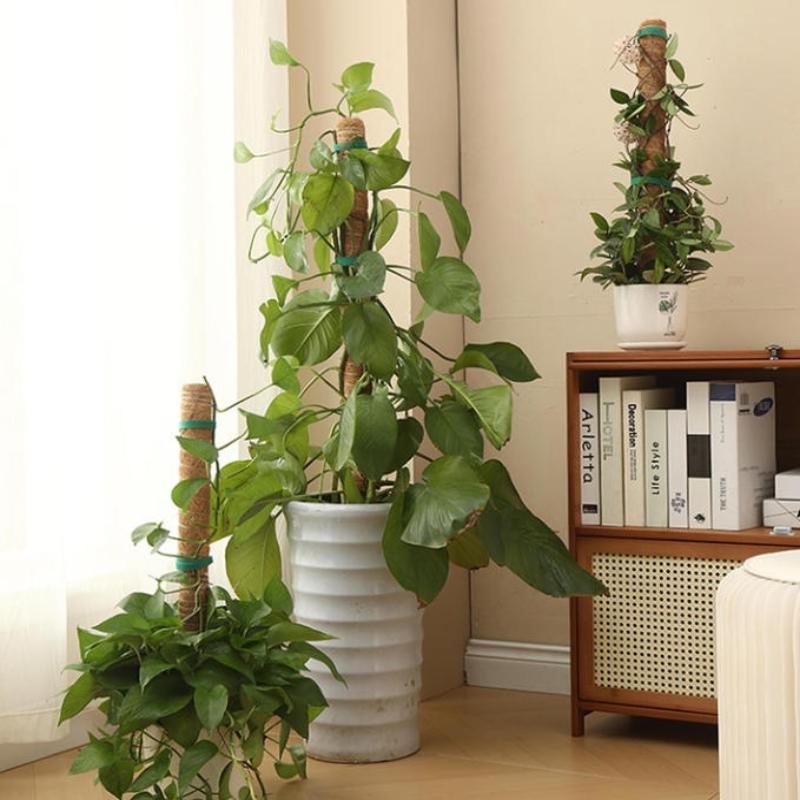 1Pcs Plant Growth Traction Rod - đánh giá và giá Vine Climbing Plastic