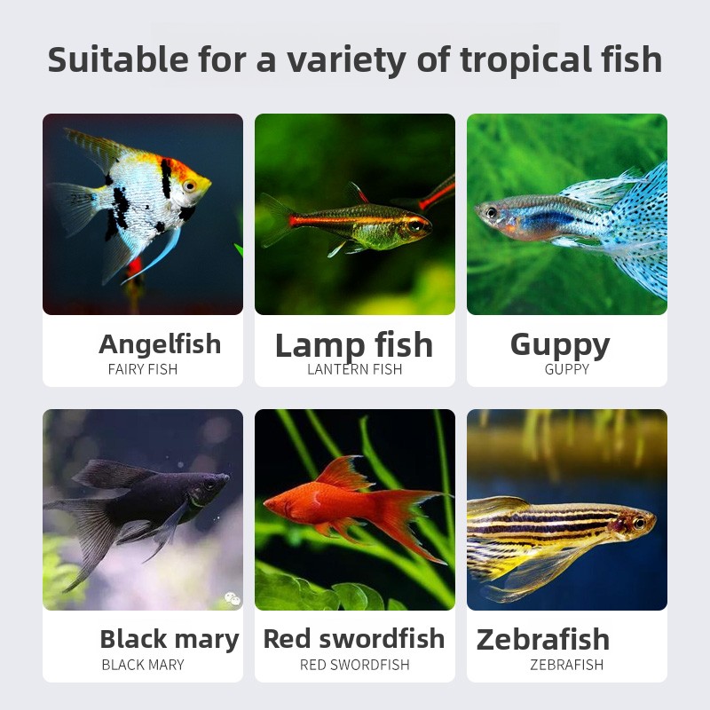 SUNSUN Premium Tropical Fish F - đánh giá và giá Tetra Food Tropical Flakes
