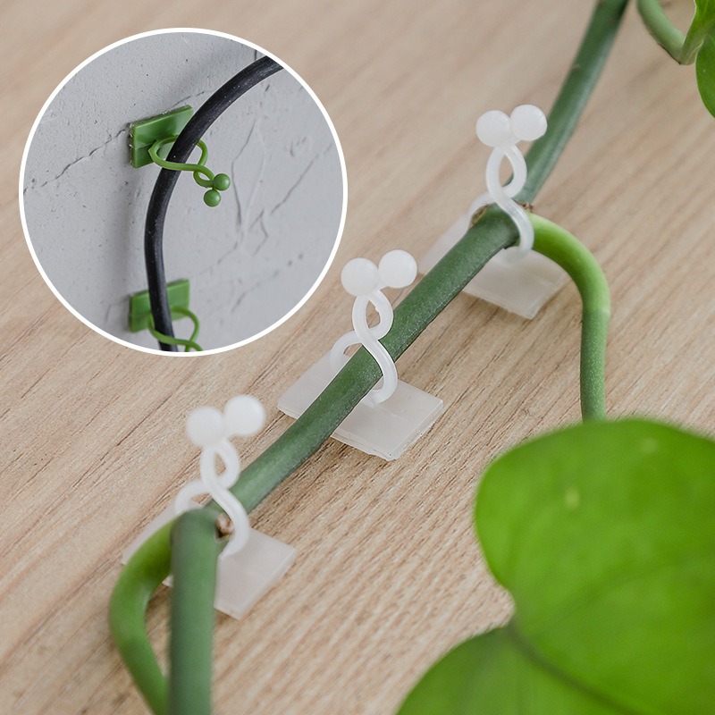10Pcs Plant Wall Fixing Hooks  - đánh giá và giá Vine Climbing Plastic
