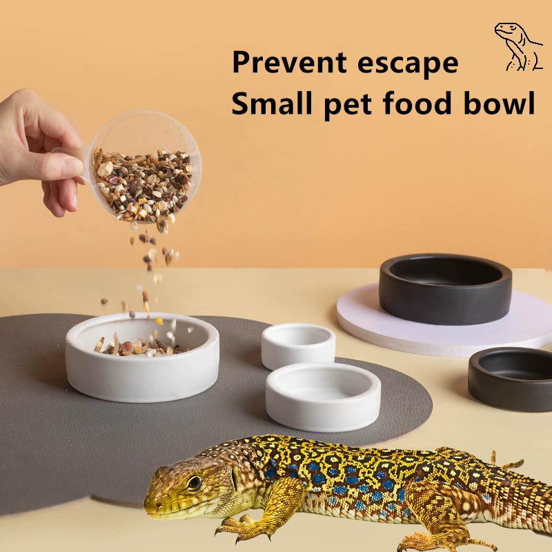 HOT! Reptile Food Bowl Anti-Es - đánh giá và giá Water Dish Reptile