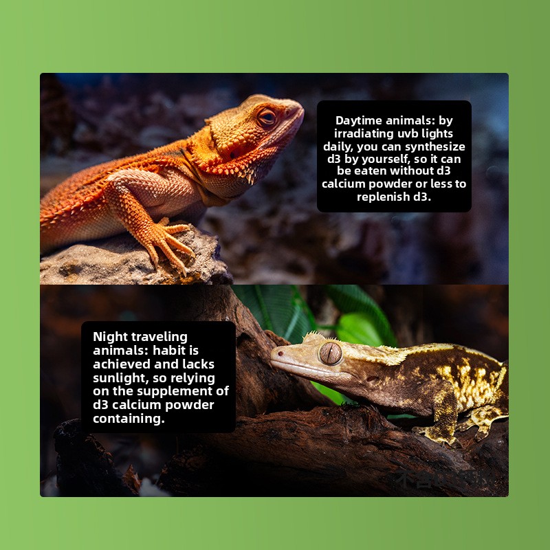 Reptizoo Reptile Calcium Powde - đánh giá và giá Calcium Powder Reptile