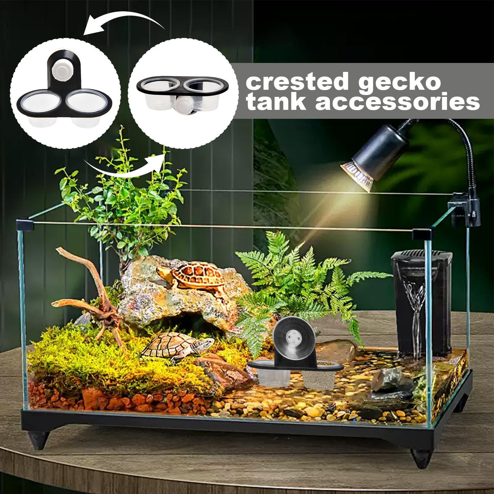Gecko Feeder Ledge with Detach - đánh giá và giá Water Dish Reptile