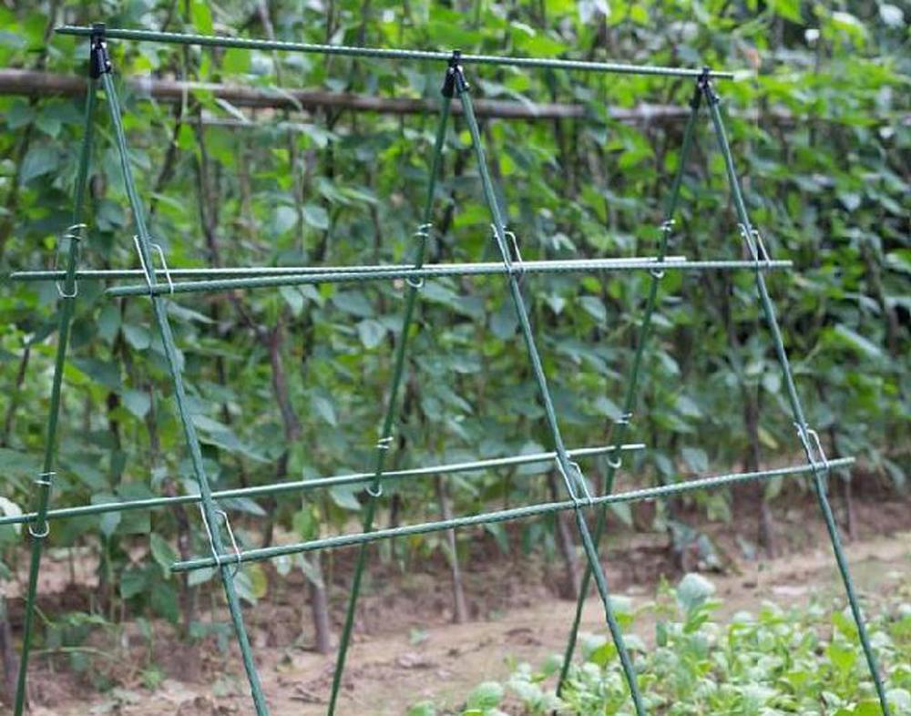 Đường Kính 8/11/16Mm Vật Có Hỗ - đánh giá và giá Vine Climbing Plastic