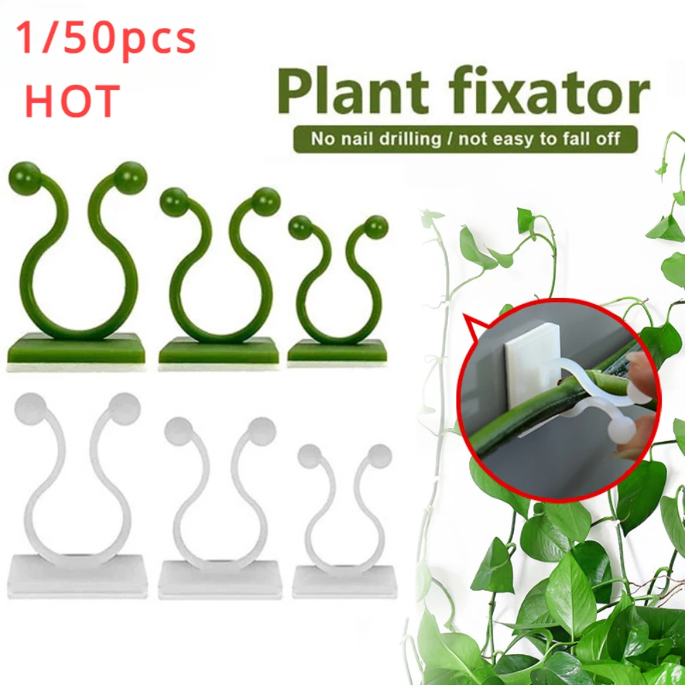 1/30/50Pcs For Garden Accsesor - đánh giá và giá Vine Climbing Plastic