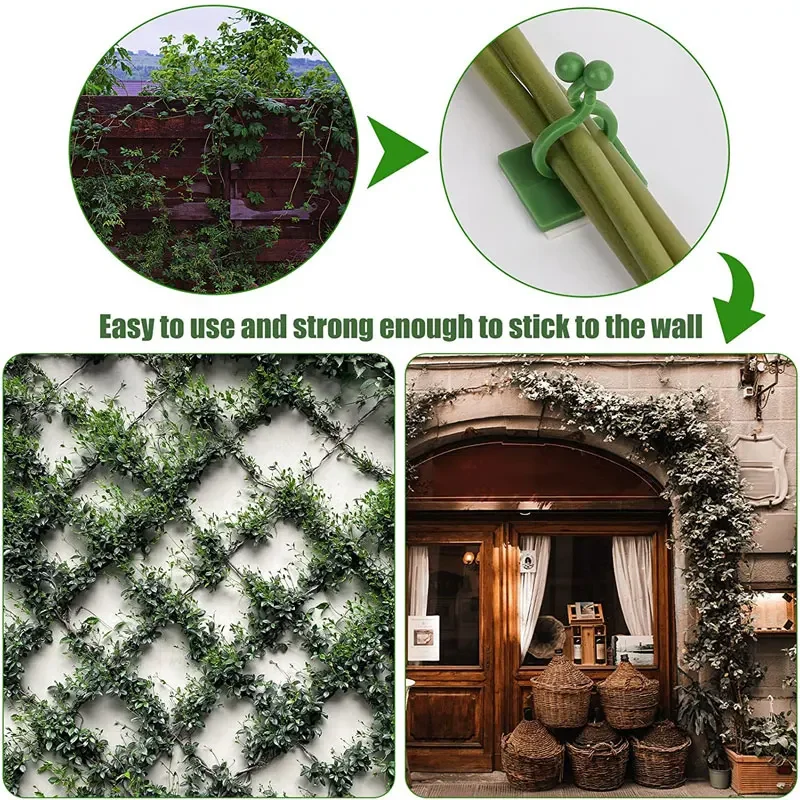 1/30/50Pcs For Garden Accsesor - đánh giá và giá Vine Climbing Plastic