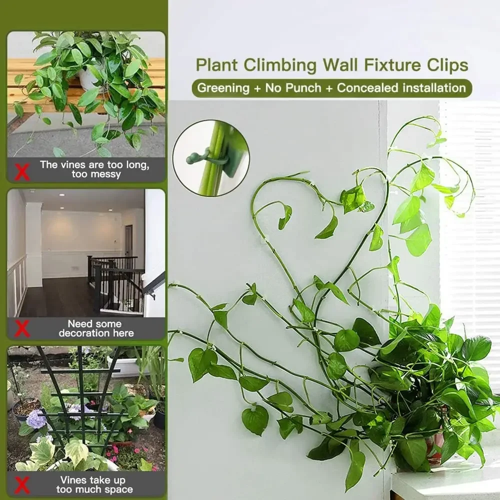 1/30/50Pcs For Garden Accsesor - đánh giá và giá Vine Climbing Plastic