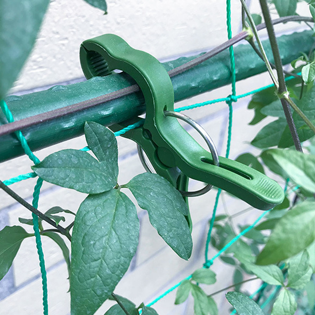 60Pcs Garden Plant Clips Plast - đánh giá và giá Vine Climbing Plastic