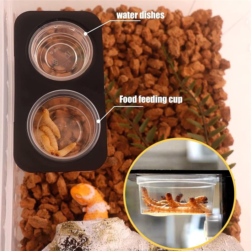 Crested Gecko Food And Water F - đánh giá và giá Water Dish Reptile