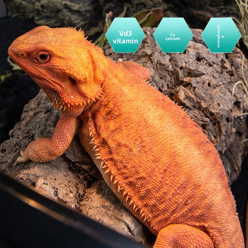 SuperRep Reptile Calcium Pro-V - đánh giá và giá Vitamin D3 Reptile