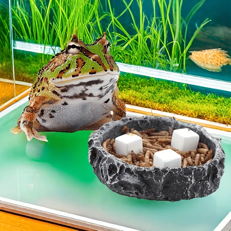 6 Pcs Fish Tank Calcium Block  - đánh giá và giá Calcium Powder Reptile