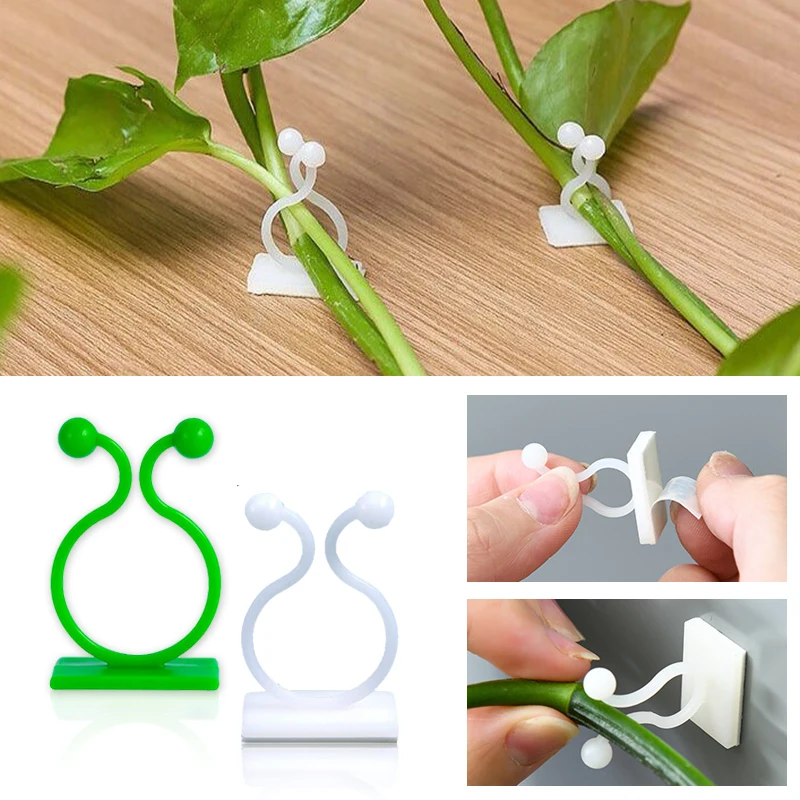 Plant Climbing Wall Self-Adhes - đánh giá và giá Vine Climbing Plastic